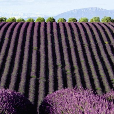 Viagens dos Leitores